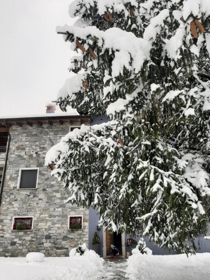 סוריקו B&B Zia Vivina מראה חיצוני תמונה